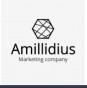 Амиллидиус - Amillidius
