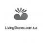 Интернет-магазин кактусов, литопсов и других суккулентов LivingStones