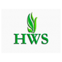 Хаммер веб студия (HWS)