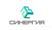 Синергия Буд