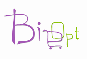 Big-Opt