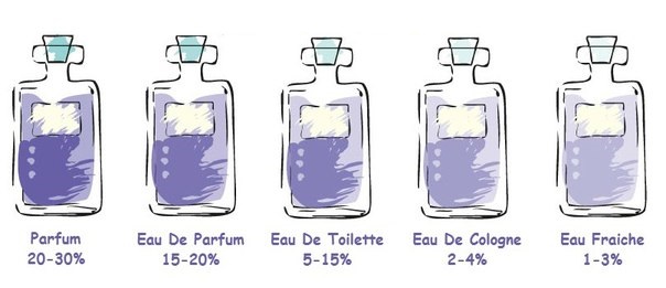 Отличие туалетной. Стойкость парфюма и туалетной воды. Концеентрация в парфюме. Концентрация душистых веществ в парфюмерии. Концентрация ароматических масел в духах.