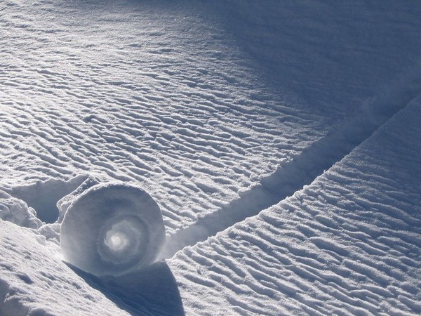 Чудо природы   снежный рулон (6 фото)