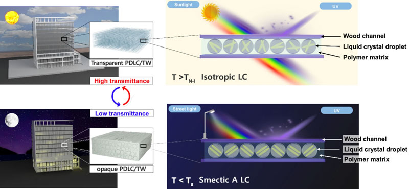 Прозора деревина: Advanced Composites and Hybrid Materials 2026