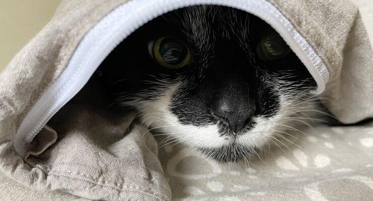 Немає світла та опалення: що робити, щоб не замерзнути вдома