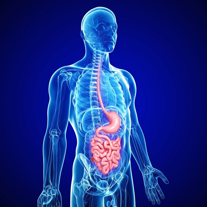 Як розпізнати запальний процес в організмі?