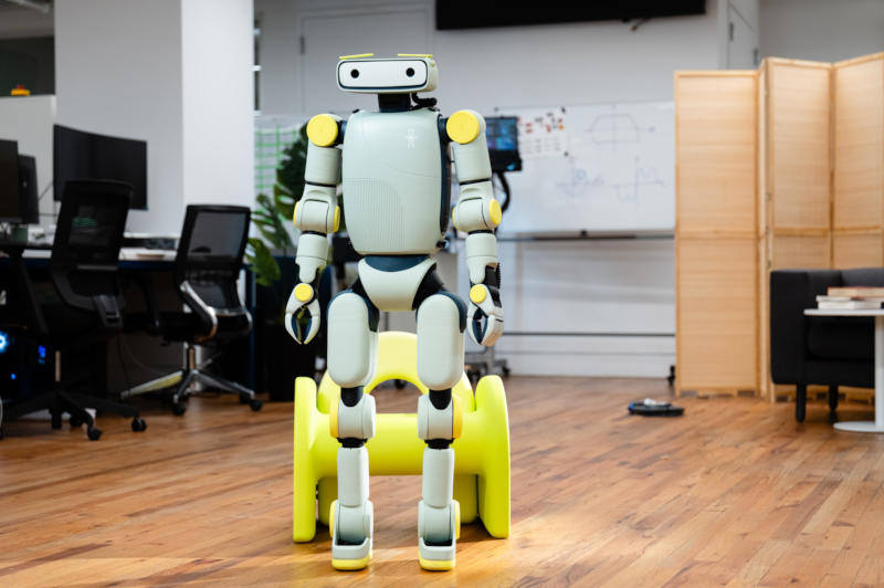 Людиноподібний робот: Fauna