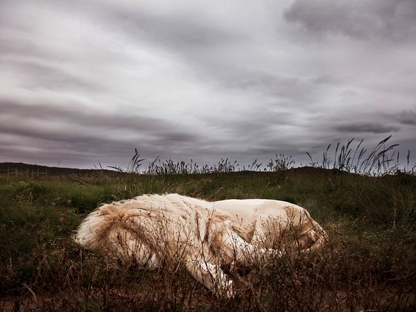 Лучшие фотографии января от NG (8 фото)