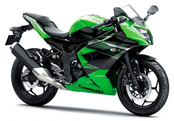 Kawasaki Ninja RR Monо