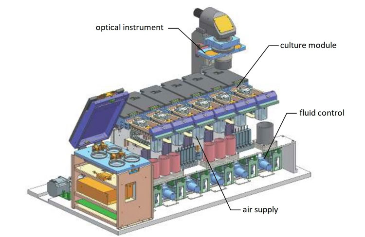 Искусственная матка с ИИ-няней. Источник изображения: Suzhou Institute of Biomedical Engineering and Technolog