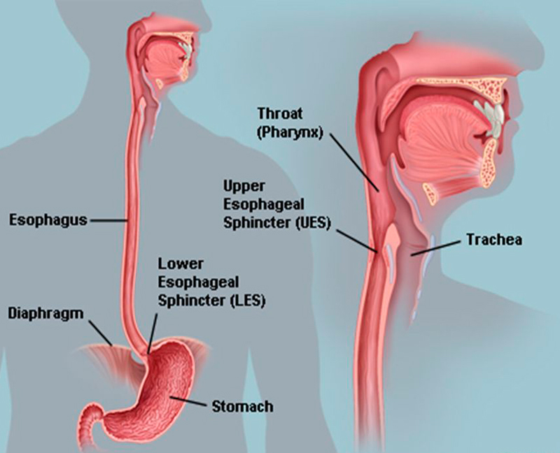 Про які хвороби говорить білий наліт на язику?
