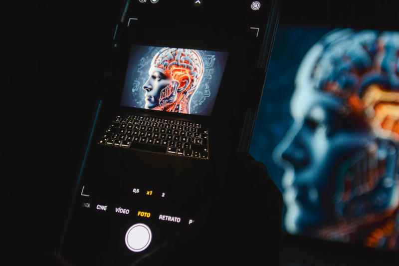 Автор: Aidin Geranrekab / unsplash.com