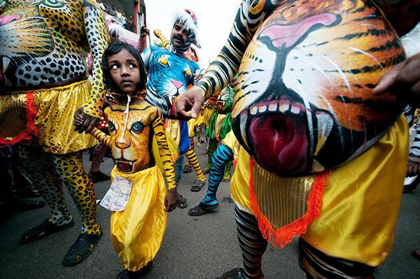 Финалисты конкурса Smithsonian 2012 (15 фото)