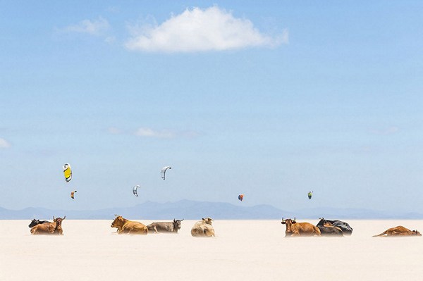 Победители конкурса фотографии National Geographic 2013 (13 фото)