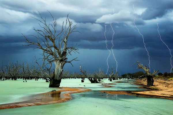 Победители конкурса фотографии National Geographic 2013 (13 фото)