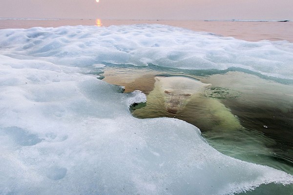 Победители конкурса фотографии National Geographic 2013 (13 фото)