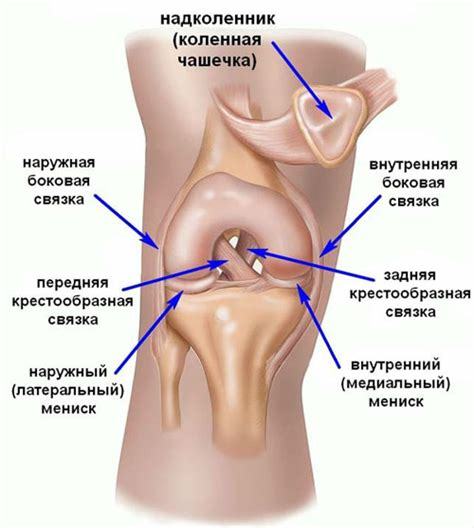 Почему хрустят суставы и когда бить тревогу