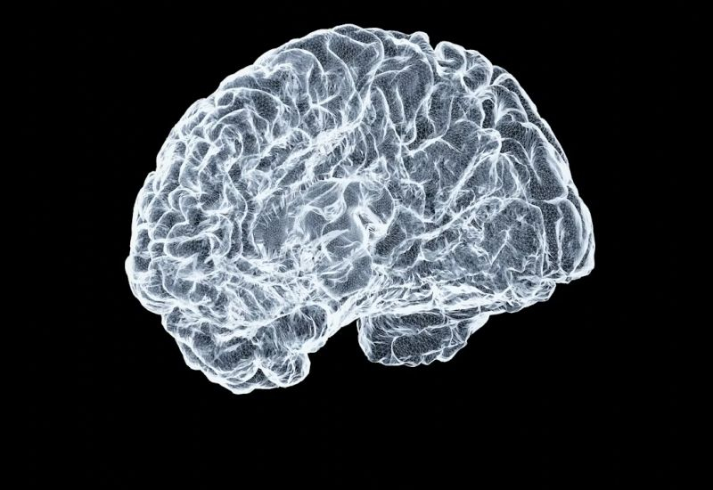 Мозкові імпланти: Unsplash, Shawn Day