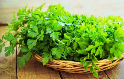 Зелень, яка корисна для судин та кісток Петрушка