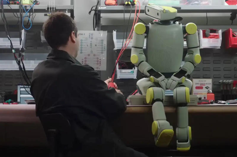 Гуманоїдний робот: faunarobotics.com