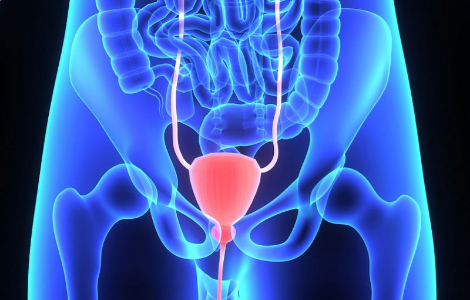 жовчний міхур