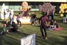 Harlem Shake  в исполнении сотрудников Google