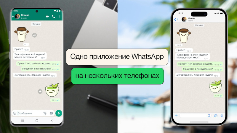 Источник изображения: WhatsApp