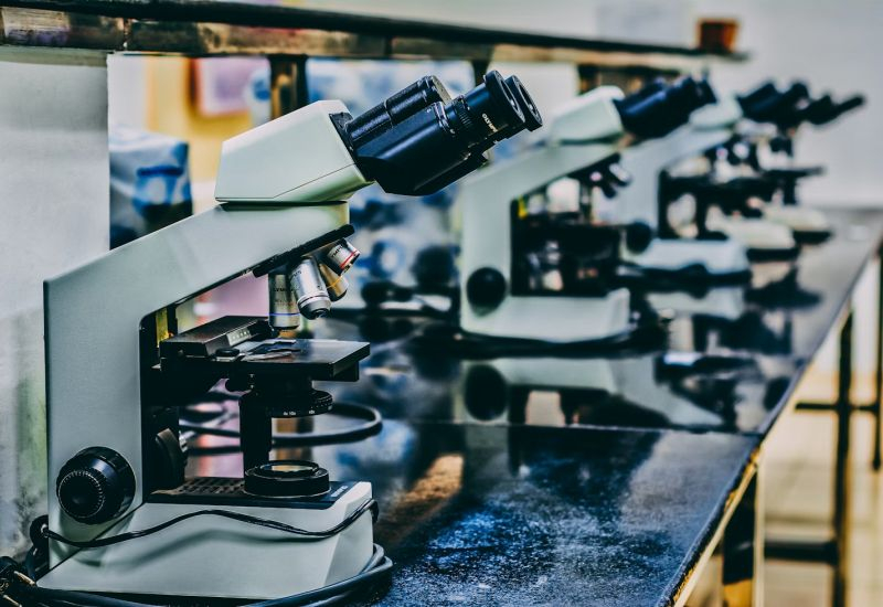 Дослідження: Unsplash, Ousa Chea