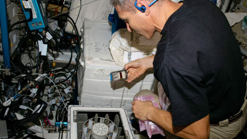 Джерело зображень: NASA / Cornell University