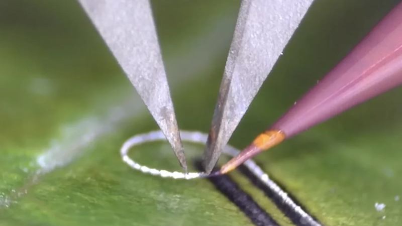 Інженери розробили пристрій для друку електроніки на живих тканинах і хірургічних імплантатах: rice.edu