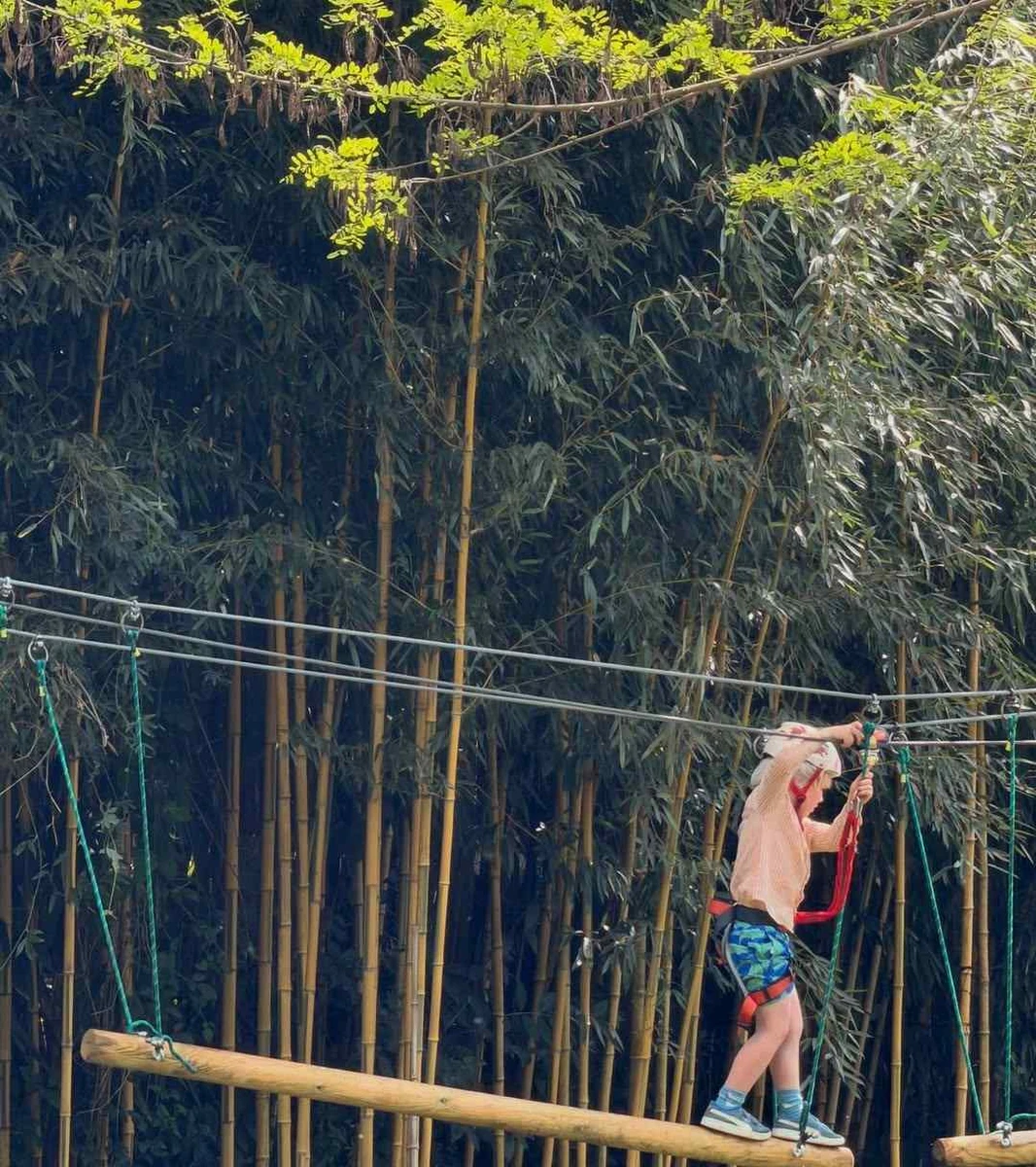 Син Бориса Джонсона