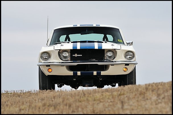 Mustang Shelby GT500 Super Snake