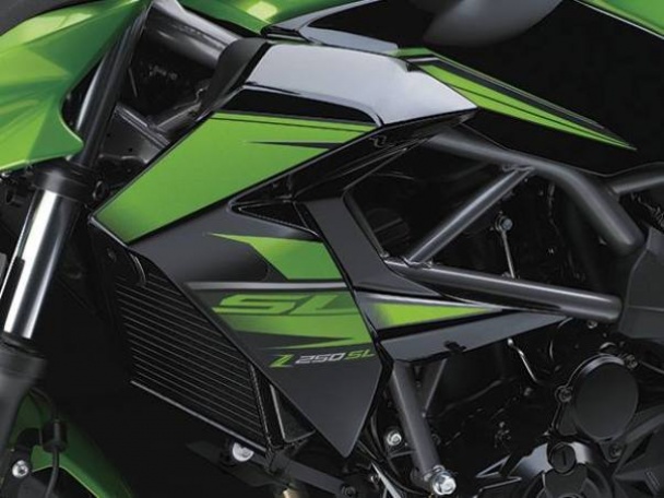 Kawasaki Z250SL