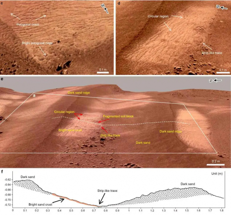 (c) Увеличенная фотография, показывающая многоугольные трещины и яркие многоугольные гребни. (d) Увеличенная фотография, показывающая круглую область с полосовидным следом в качестве части. (e) 3D-изображение NaTeCam междюнной впадины между двумя темными продольными дюнами. (f) Поперечное сечение дюны вдоль профиля белой штриховой линии в (e). Кредит: IGGCAS
