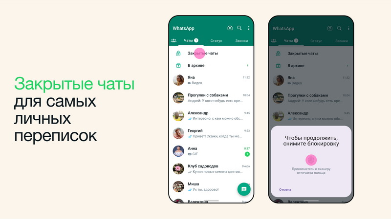 Источник изображения: WhatsApp