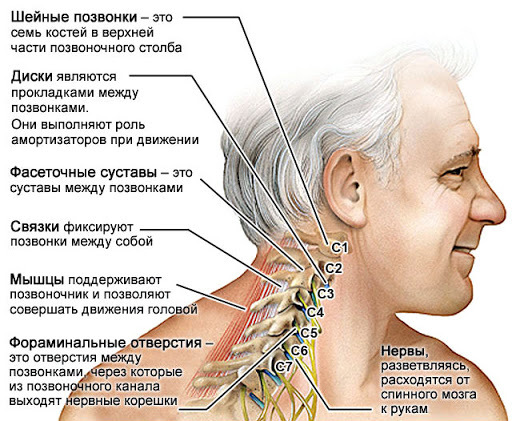 Почему тянет шею