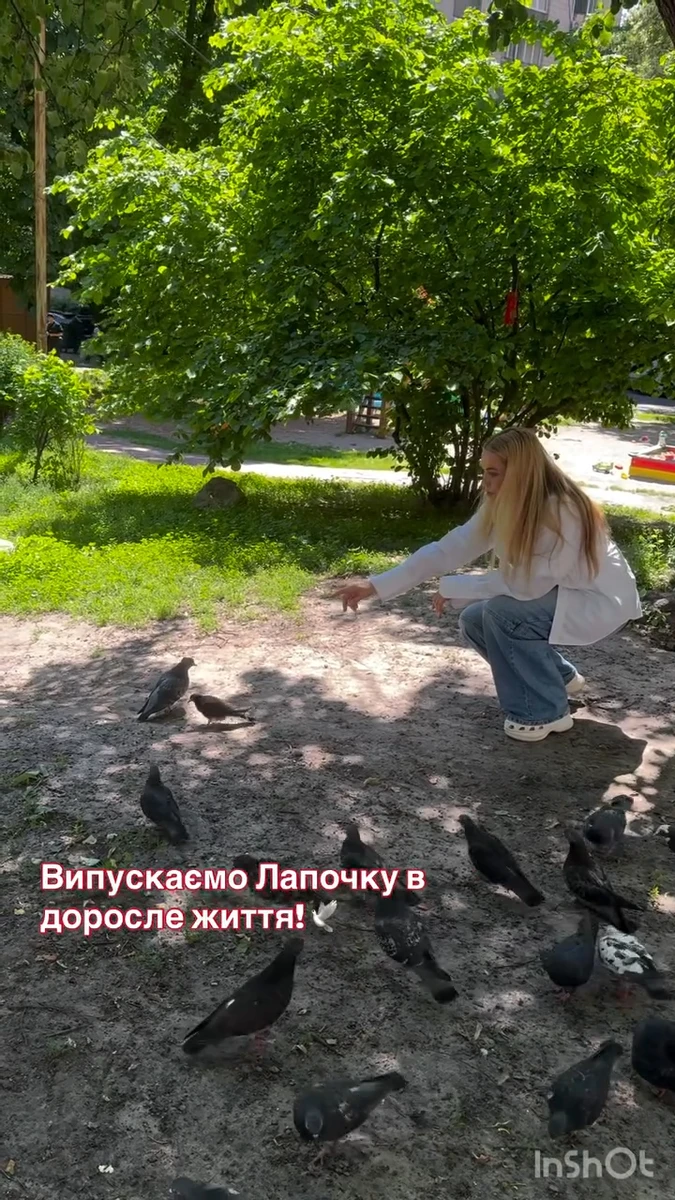 Ольга Сумська показала, як відпускає врятованого птаха