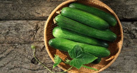 Корисні і небажані продукти для людей з високим тиском огірки
