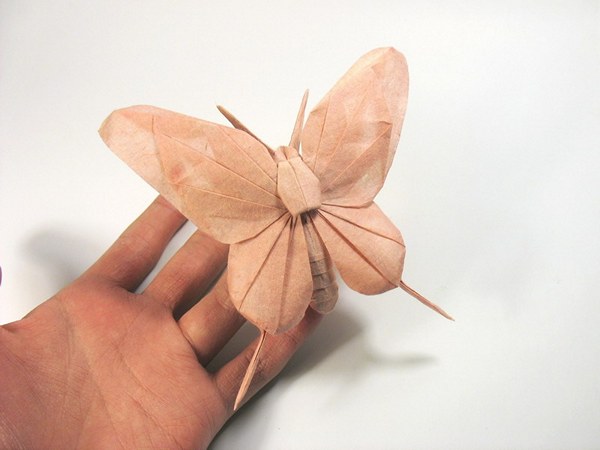 Мастер оригами (16 фото)