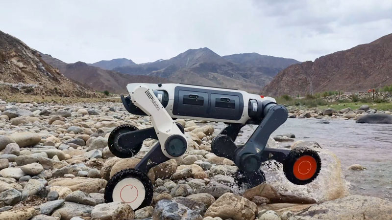Робопес і робототехніка: DEEP Robotics
