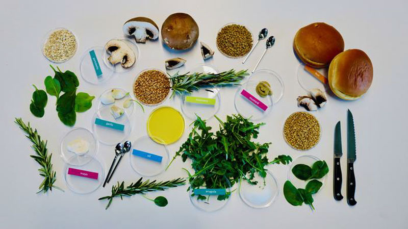 Бургер і бутерброди: Living Matter Lab