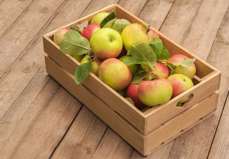 4 корисні продукти для легкого дихання яблука