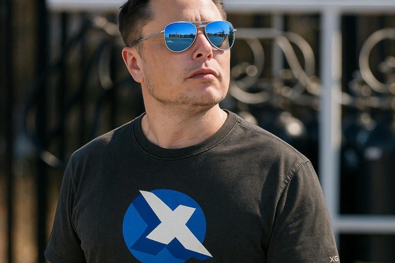 Источник изображений: x.com/elonmusk