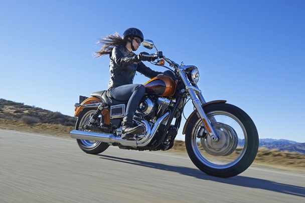 Harley-Davidson FXDL Low Rider