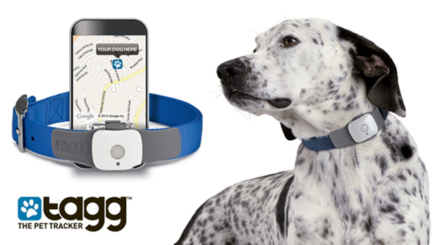  Tagg GPS Pet Tracker