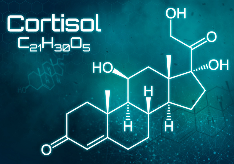 Как кортизол влияет на ваше здоровье