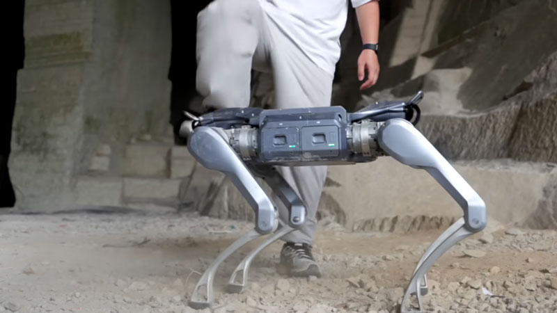Источник изображения: Unitree Robotics