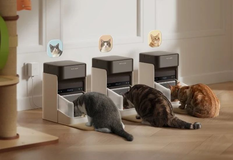 Коти та собаки: Petlibro