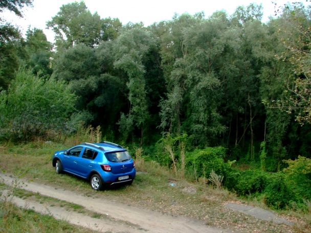Renault Sandero Stepway _14