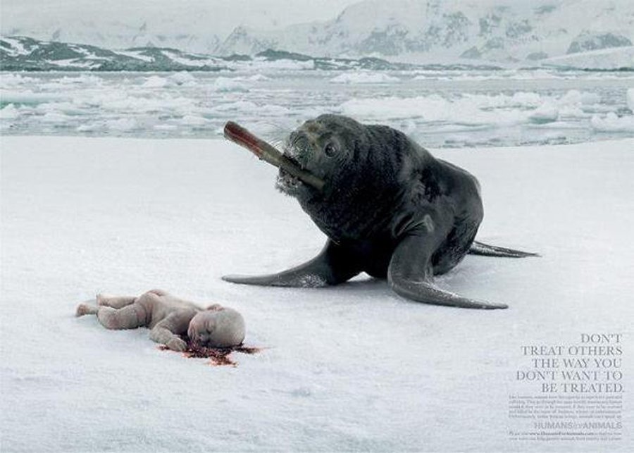 humans-for-animals-makes-a-shocking-image-in-regard-to-animal-cruelty-seal-france-2005